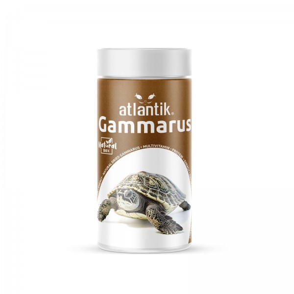 Kurutulmuş Karides Gammarus Kaplumbağa Balık Yemi 250 ml 25g