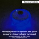 CaDoPet Işıklı Kedi Su Pınarı Ultra Sessiz Güvenli 5 Volt 2 Watt 2.5 Litre - Mavi