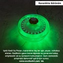 CaDoPet Işıklı Kedi Su Pınarı 2.5 Litre